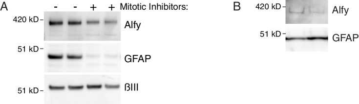 Figure 1—figure supplement 2.