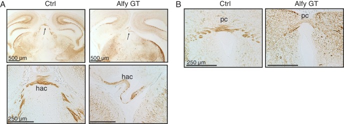 Figure 3—figure supplement 2.