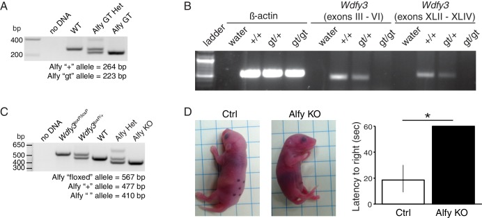 Figure 2—figure supplement 1.