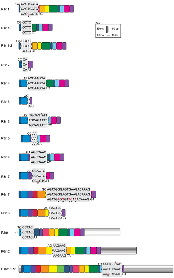 Extended Data Figure 2