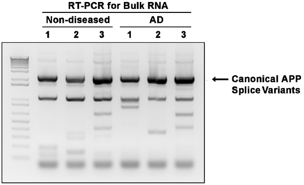 Extended Data Figure 1