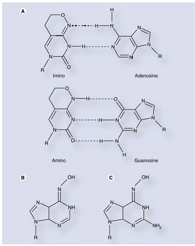 Figure 8