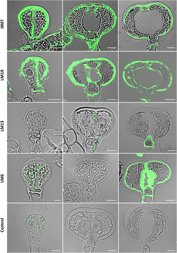 Fig. 9