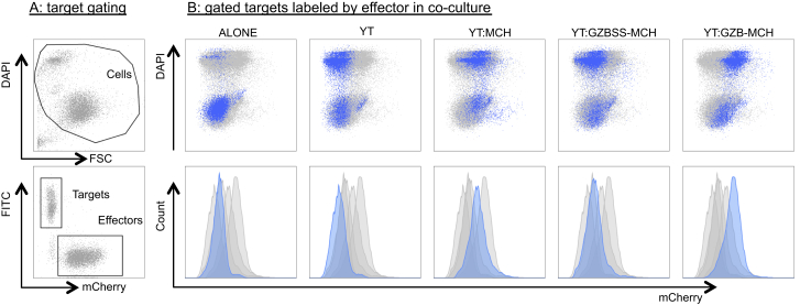 Figure 5