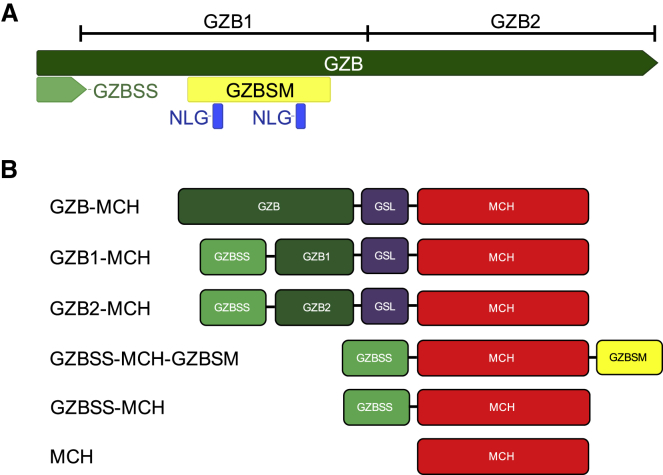 Figure 1