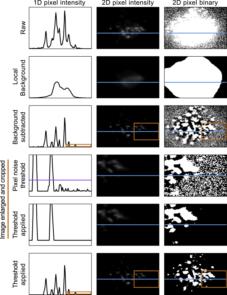 Figure 3