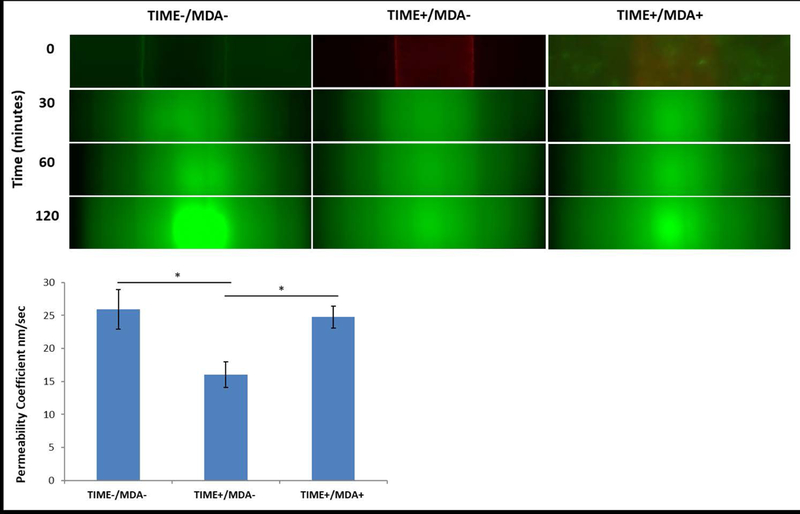 Figure 5: