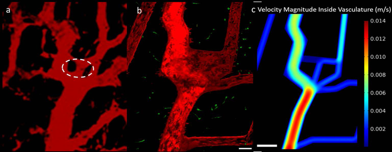 Figure 7: