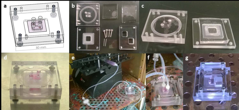 Figure 2: