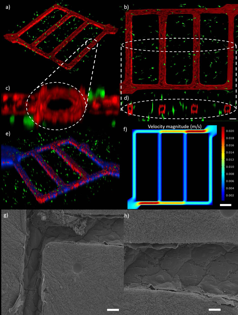 Figure 6: