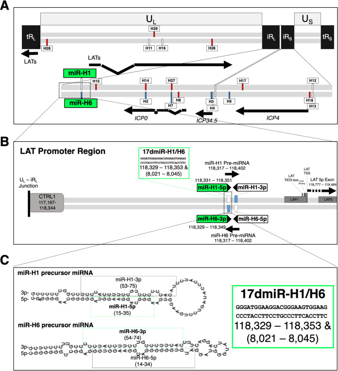 FIG 1