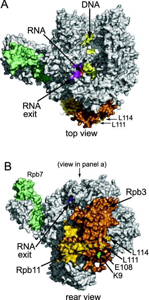 FIG. 5.