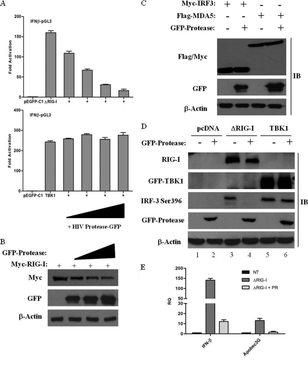 FIG. 6.