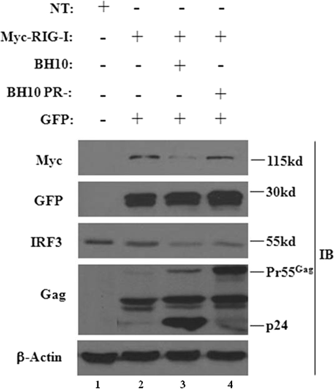 FIG. 5.