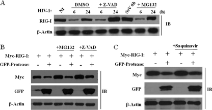 FIG. 7.