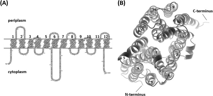 FIG 1