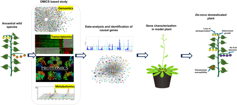 FIGURE 2