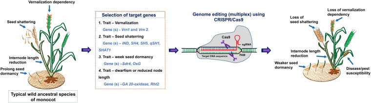 FIGURE 3