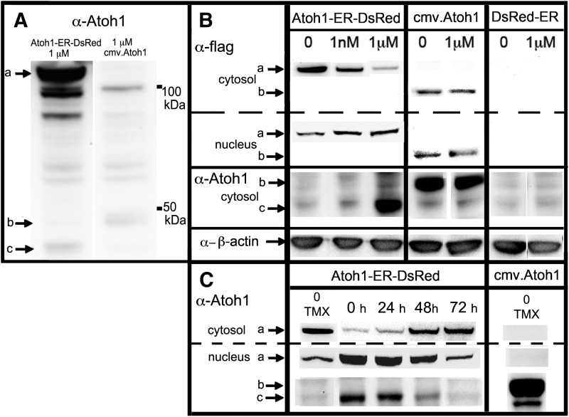 FIG. 6.