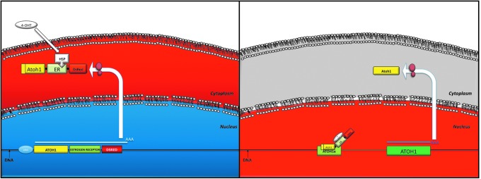 FIG. 9.