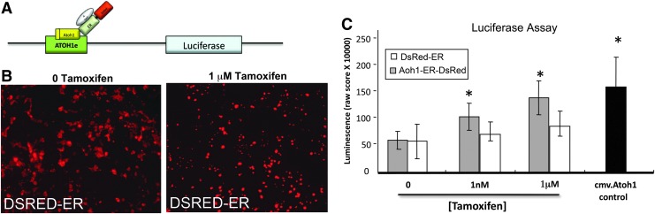 FIG. 4.