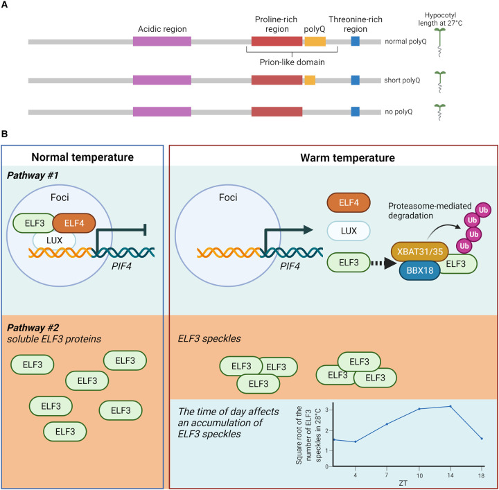 Figure 4.