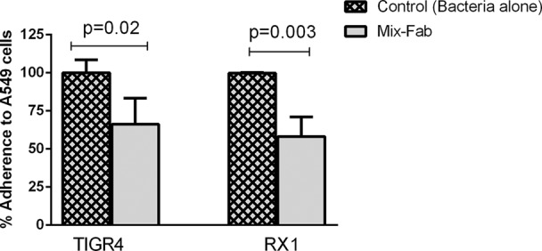 FIG 3