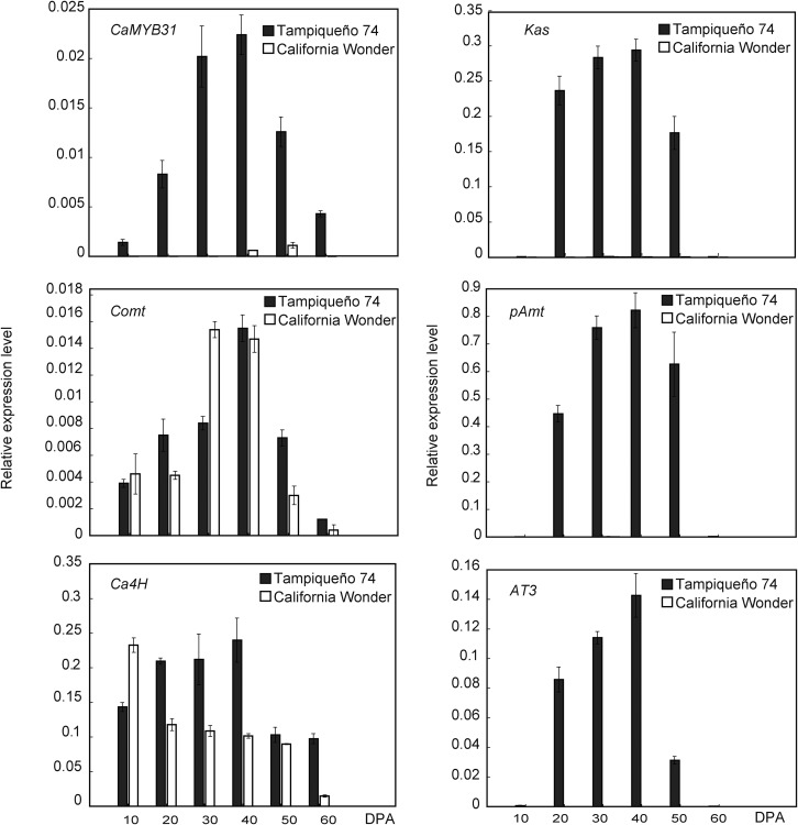 Figure 2.