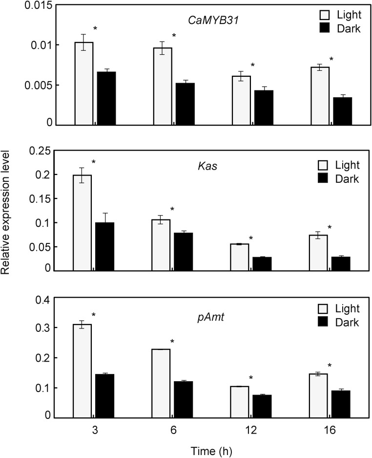 Figure 6.