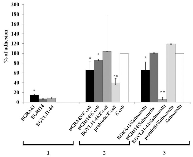 FIGURE 3