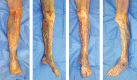 Fig. 4