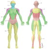 Fig. 6