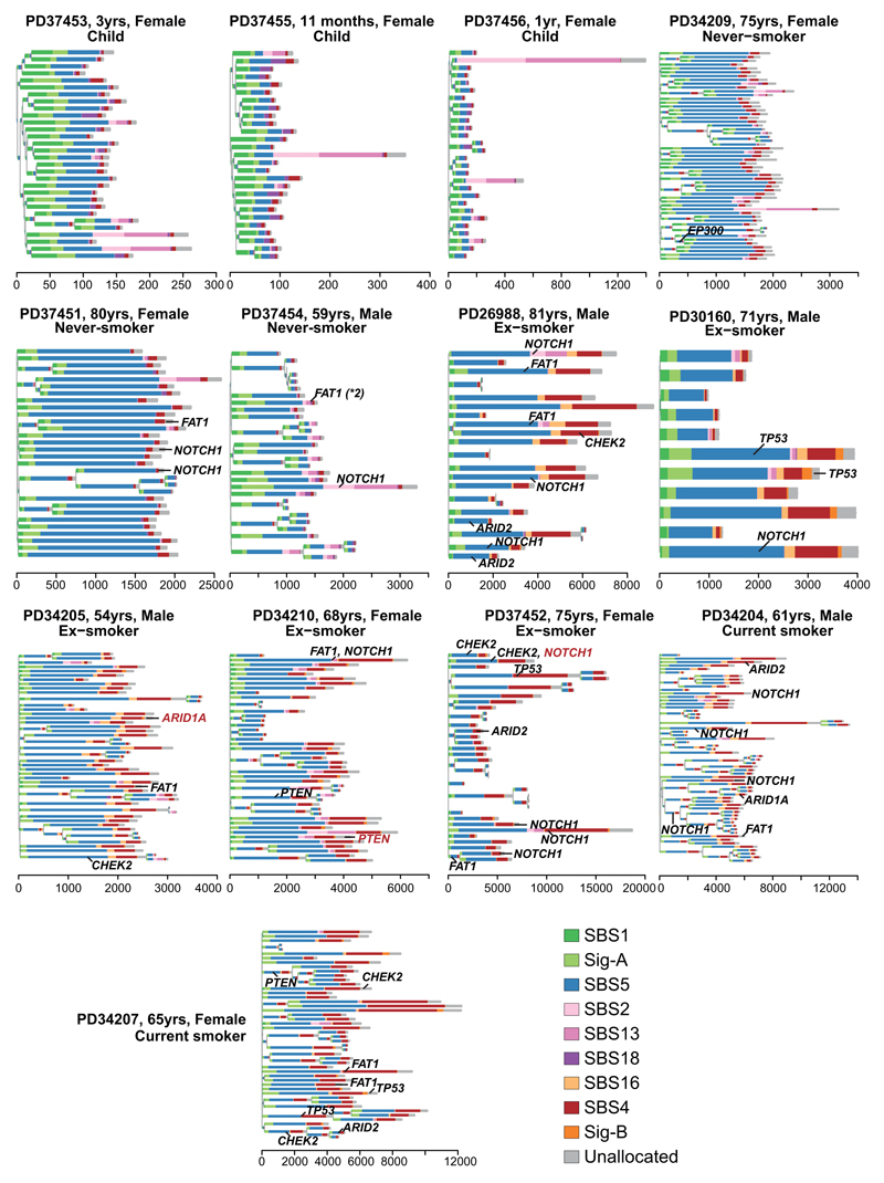 Extended Data Figure 6