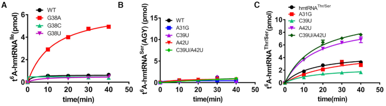 Figure 6.