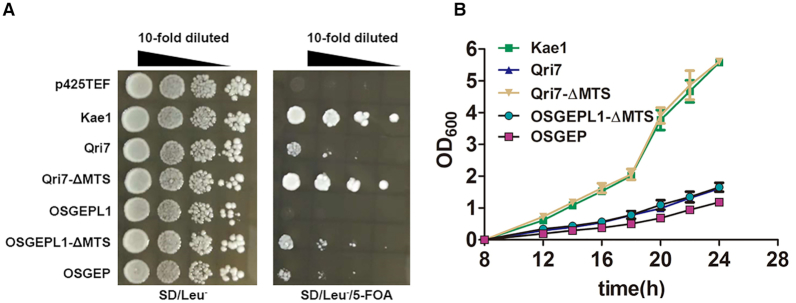 Figure 7.