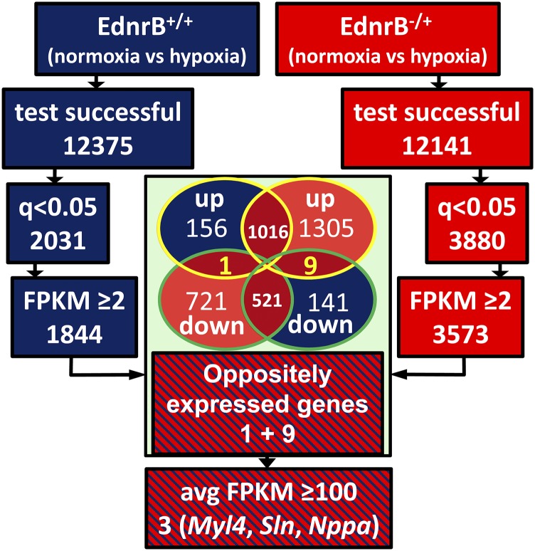 Fig. S3.