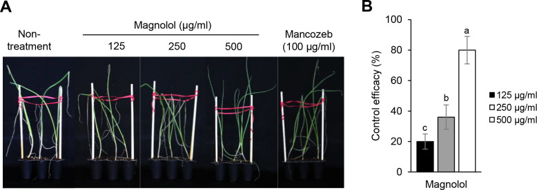 Fig 4