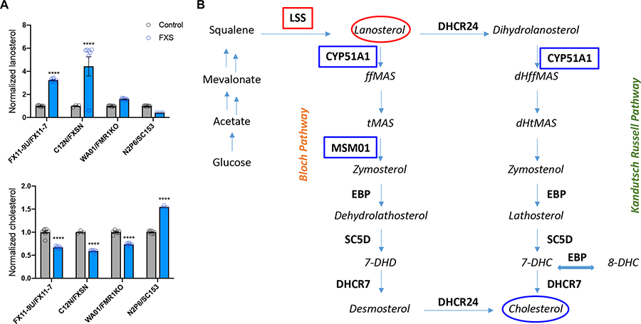 Figure 7.