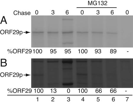 FIG. 9.