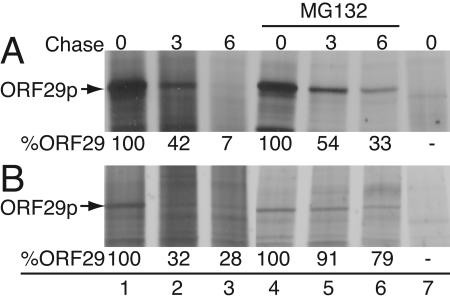 FIG. 10.