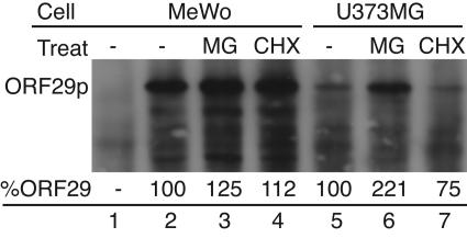 FIG. 8.