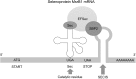 <b>FIG. 3.</b>