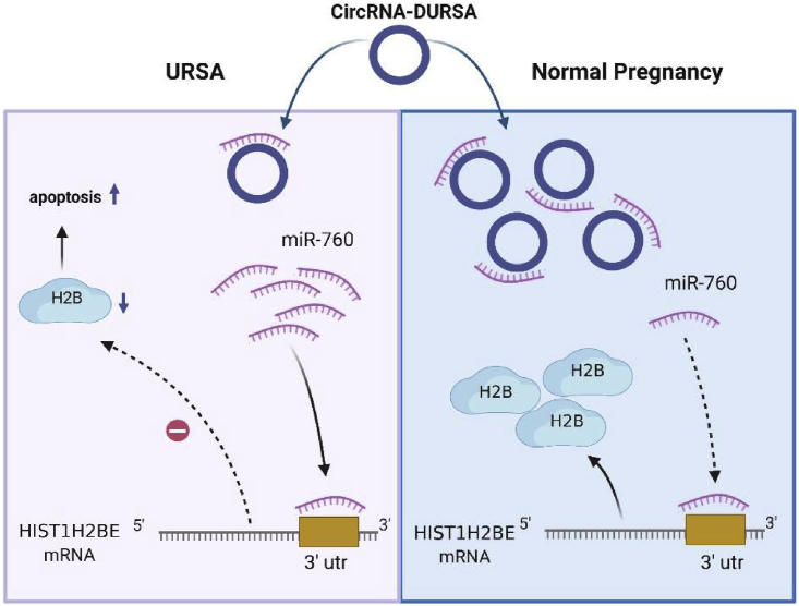 Figure 6