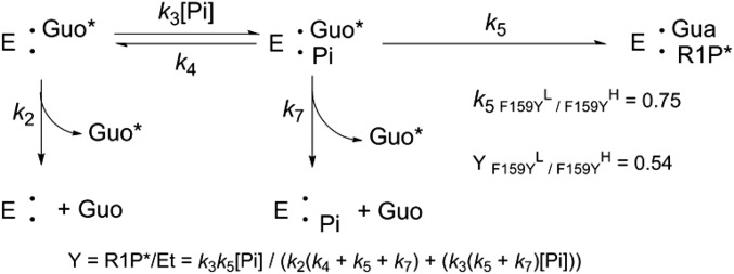 Mechanism 1.