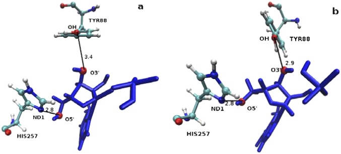 Fig. S8.