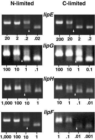 FIG. 4