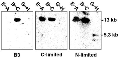 FIG. 5