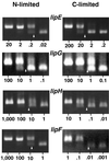 FIG. 4