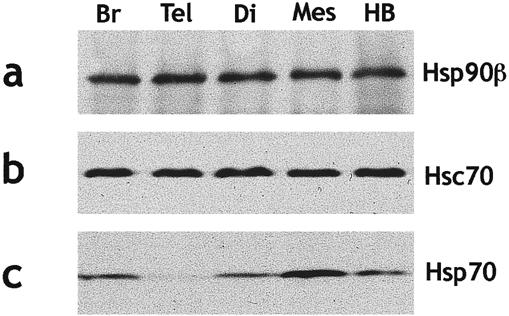 Fig 1.