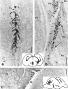 Fig 5.